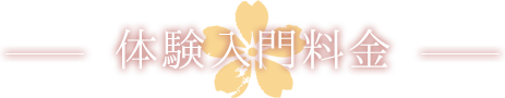 体験入門料金